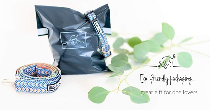 Lucky Love Dog, Bold Matching Dog Collar and Leash Set, Soft & Adjustable, Geometric Pattern Collar and Leash for Male Female Dogs - (Small, Murphy Combo)