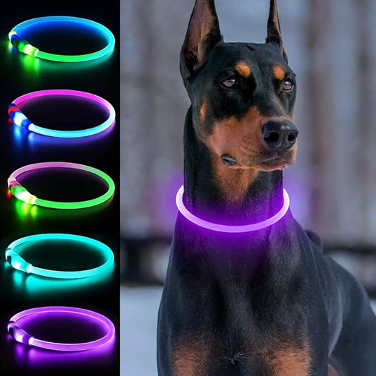 Light Up Dog Collars, Single-Color USB Rechargeable Dlitk LED Dog Collar 1 Count, TPU Cuttable Size Glow Collar for Dogs, Dog Collar Light, Please Do Not Use Fast Charging (Purple)