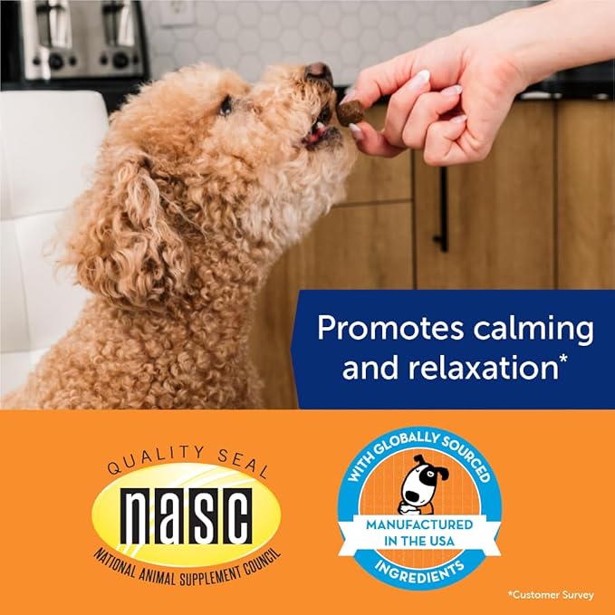 ThunderWunders Hemp Dog Calming Chews | Vet Recommended for Situational Anxiety | Fireworks, Thunderstorms, Travel & More | Made with Hemp Seed, Thiamine, L-Tryptophan, Melatonin & Ginger (180 Count)