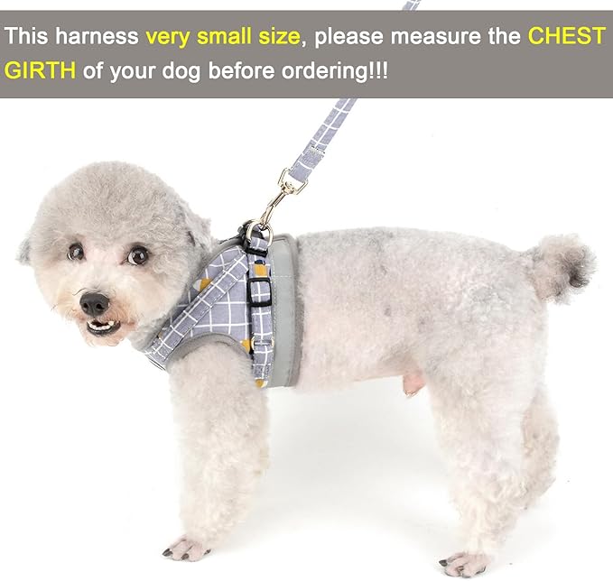 Zunea No Pull Small Dog Harness and Leash Set Adjustable Reflective Step-in Chihuahua Vest Harnesses Mesh Padded Plaid Escape Proof Walking Puppy Jacket for Boy Girl Pet Dogs Cats Gray M