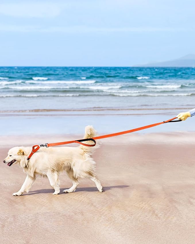 FunTags Reflective Martingale Collar for Dogs, Quick Release Buckle, 5FT Double Handle Dog Leash Padded, Dog Collar and Leash Set, Adjustable for Large Dogs (Orange, L)