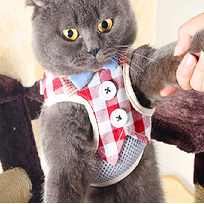 Puppy Harness and Leash Set for Walking Escape Proof Adjustable Soft Padded Mesh Front Vest Harness with Leash and Cute Bows Easy to Put On & Take Off Step in Dog Harness for Small Dogs and Cats