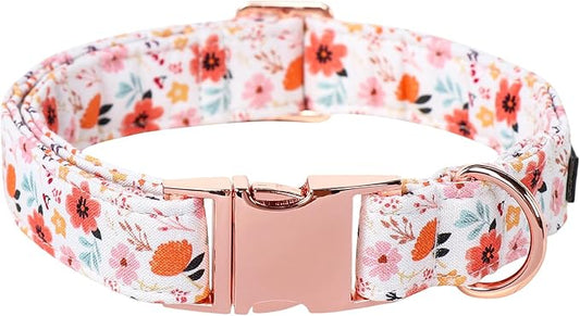 Lionet Paws Dog Collar, Adjustable Cute Collar with Metal Buckle for Male Female Puppies,Summer Flower, Medium, Neck 13.5-22 inches