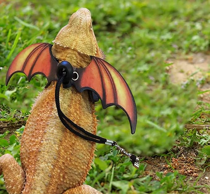 Bearded Dragon Lizard Leash Harness - Adjustable Dinosaur Wing Lizard Cool Leather Wings Safety Walking Leash (S,M,L,3pack)