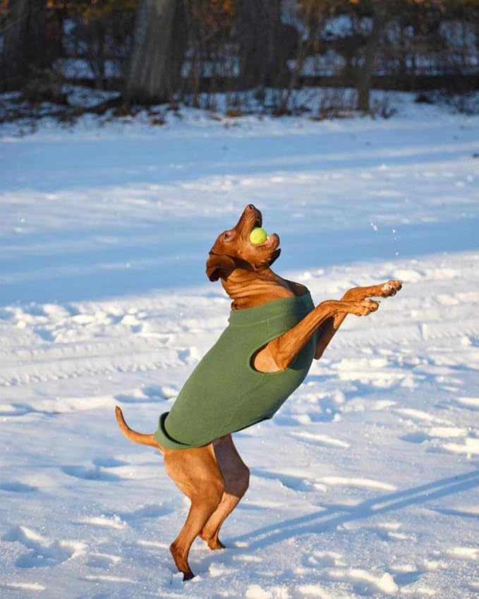 Gooby - Stretch Fleece Vest, Pullover Fleece Vest Jacket Sweater for Dogs, Sand, 4X-Large