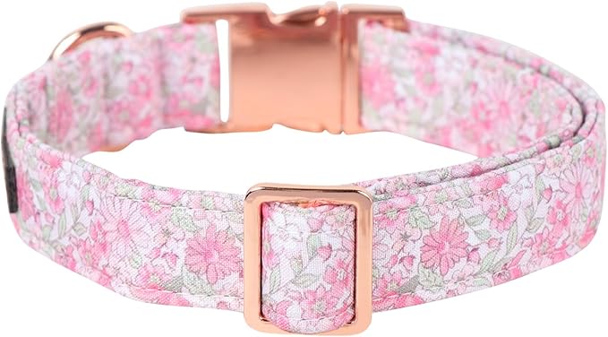Lionet Paws Floral Dog Collar, Heavy-Duty Cute Pink Flower Collar with Metal Buckle for Male Female Puppies,Spring Pink Flower, Small, Neck 10-16 inches