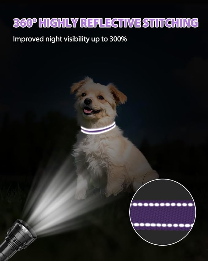 Joytale Small Dog Collar, Reflective and Adjustable Nylon Collar with Quick-Release Buckle, Lightweight No-Choke Design for Small Dogs, Purple, 3/4" Width
