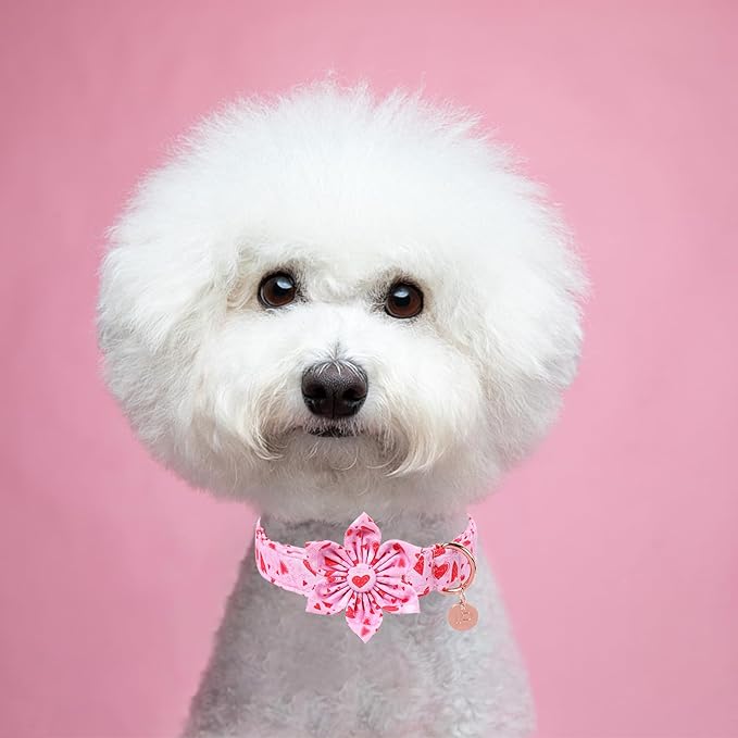 Valentine Dog Collar with Flower, Heart Flower Collar for Puppy Girl Boy Dog or Cat, Comfortable Dog Collar Flower with Durable Metal Buckle, Cute Pet Collar, L