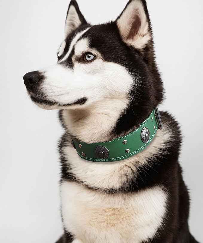 Leather Dog Collar, 2 inches Wide Heavy Duty Genuine Leather Collars, Handmade, Soft, and Luxury, Eye-catching Best Choice for Large and Medium Breed Dogs, Green 19.5-23.5 inches