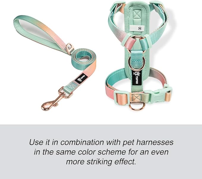 TSPRO Lightweight Dog Leash, Gradient Color Dog Leash, Padded Handle, Durable Dog Leash, Quick Release Metal Buckle, for Small to Medium Dogs Walking (Yellow-Green Gradient)