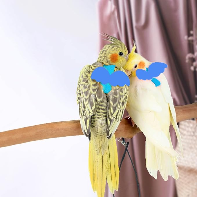 Adjustable Bird Leashes and Harnesses, Bird Nylon Harness with Cute Wing for Parrots, Pet Bird Accessories, Bird Leash for Hang Out, Suitable for Cockatiel, Quaker, Amazon Parrot and Same Size Birds