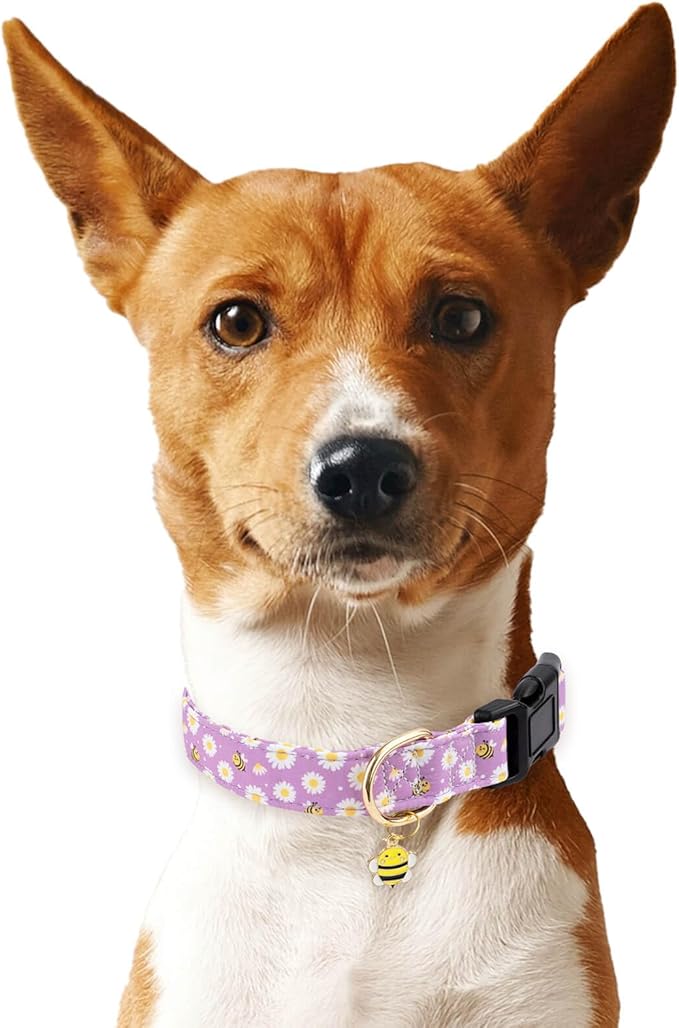 Cotton Dog Collar,Soft and Cute Puppy Collars with Bee Patterned Design for Girl Female Boy Dogs,Adjustable Buckle Pet Collar for Small Medium Large Dogs (Purple Bee, Medium)
