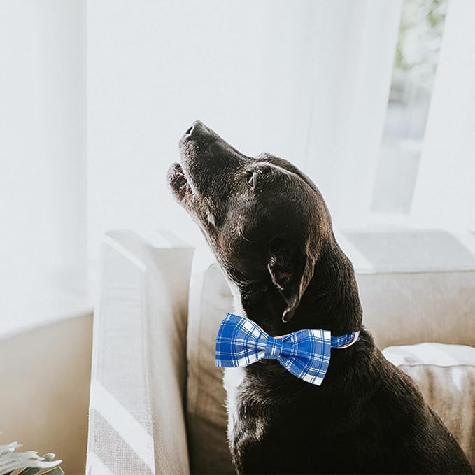 Lionheart glory Dog Collar, Boy Dog Collar Bowtie Blue Adjustable Dog Bowtie Collar Bows Dog Collar for Small Dogs
