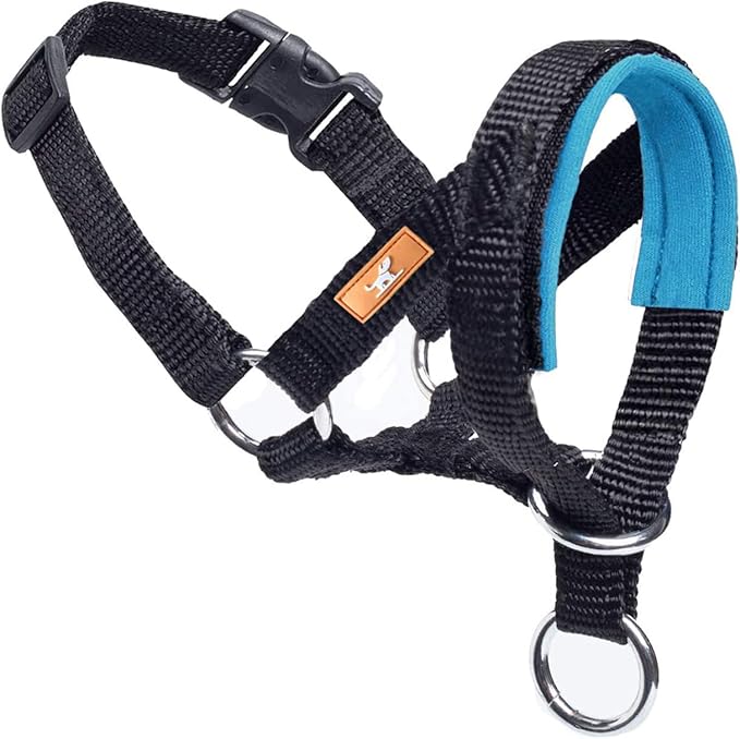 Dog Head Collar, Fabric Padded Head Collar for Dogs to Prevent Pulling, Head Leash for Small Medium Large Dogs Walking(S,Lake Blue)
