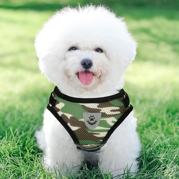 FEimaX Dog Harness and Leash Set for Walking, Soft Mesh Adjustable Easy Control Lightweight Cat Vest Harnesses with Reflective Strips, Escape Proof Small Dogs Cats Vests