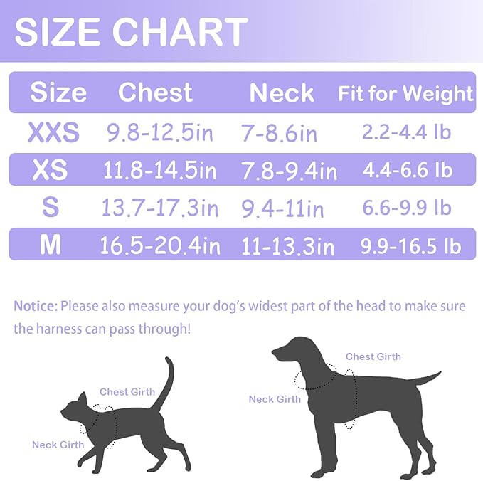 Harness Dress for Small Dogs,Chihuahua Yorkie Teacup Dresses Girl, Summer Cute Pet Puppy Dog Clothes Female (Purple Harness+Rope, XX-Small)