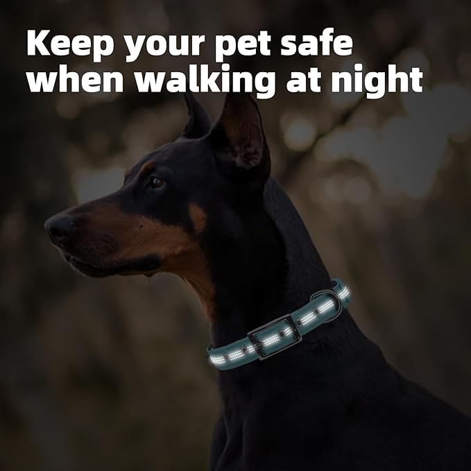 PUPTECK Heavy Duty Dog Collar with Handle Bungee for Small Medium Large Dogs, Tactical Dog Training Collar for Easy Control, Reflective Padded Dog Collars for Walking Running, Turquoise, S