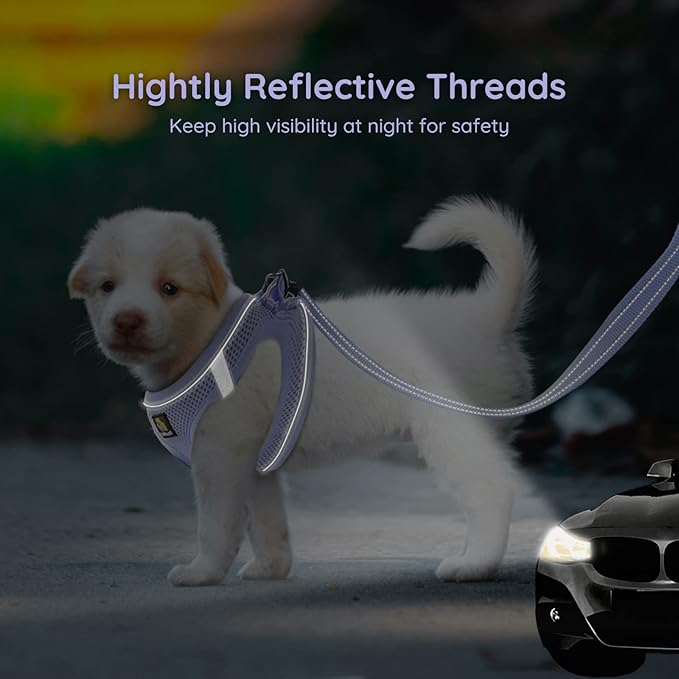 BELLA & PAL Puppy Harness with Leash Set, Step in Harness for Small Dogs, Dog Air Mesh Dog Vest Harness with Reflective Strip, No Pull No-Chock Harness for XXS, XS, Small, Medium Dog Cat (Lavender, S)