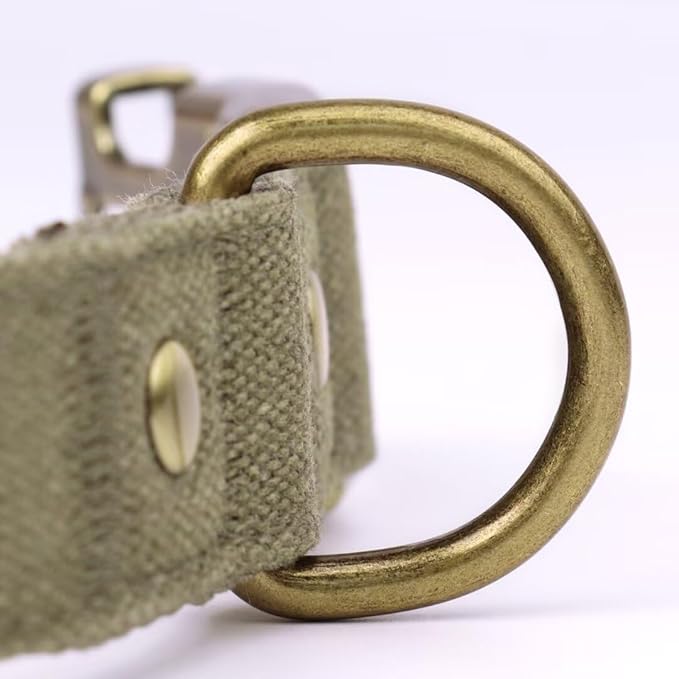 PET ARTIST Nylon Dog Collar for Large Dogs, Heavy Duty Dog Collar with Quick Release Metal Buckle, Soft Padded Nylon, Durable & Adjustable for Boy Gifts, Green, L (Fit 15-22")