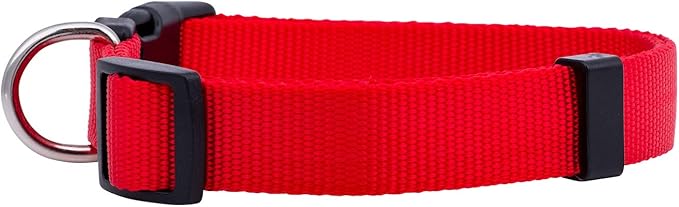 Native Pup Basic Nylon Dog Collar, Adjustable for Small, Medium, Large pet and Puppies Accessories, Cute Colors for Male, Female, boy, Girl, Puppy (Small, Red)
