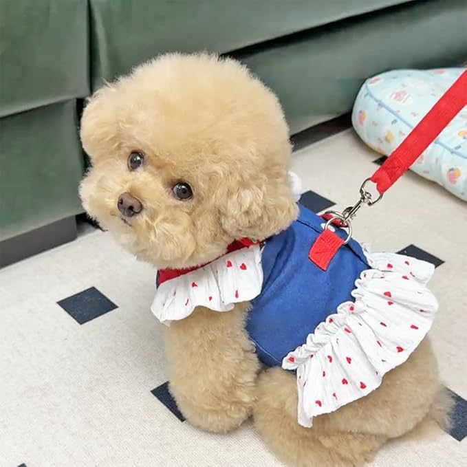 ANIAC Denim Dog Dress Harness with Leash Set Cute Small Dogs Clothes Girl Heart Patterns Puppy Dresses Breathable Mesh Cat Harness Leash Strawberry Chihuahua Yorkie Outfit (White Heart, Small)