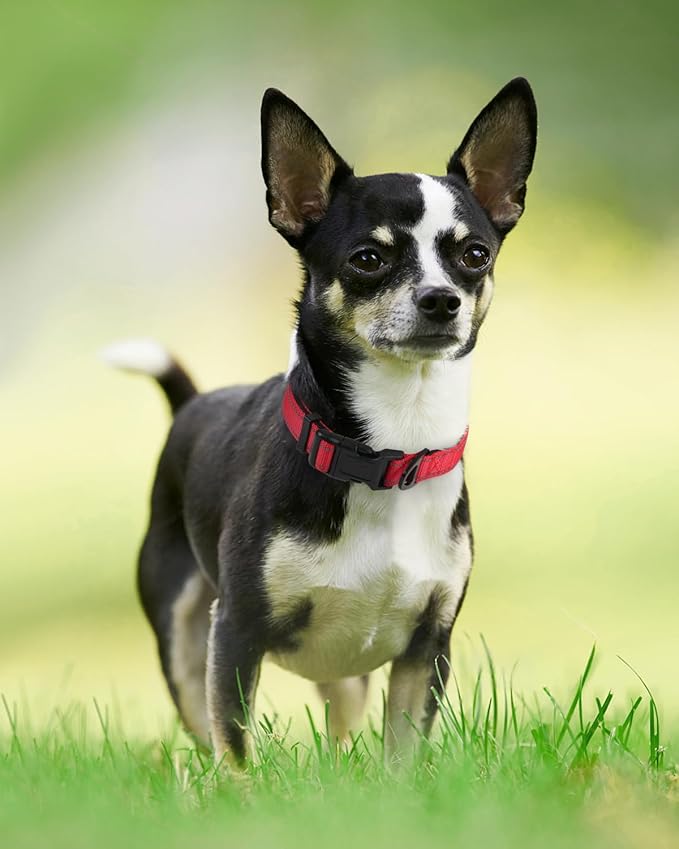 Joytale Reflective Dog Collar,Soft Neoprene Padded Breathable Nylon Pet Collar Adjustable for Puppy and Small Dogs,Red,XS