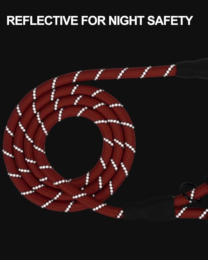 Joytale Reflective Dog Leash, Heavy Duty Nylon Rope with Poop Bag Holder, Highly Reflective Threads Leashes for Small Dogs, Red, 6'×3/8''