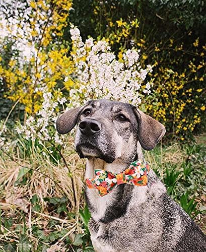 Lionheart glory Premium Floral Dog Collars, Bowtie Dog Collar, Adjustable Heavy Duty Girl Dog Collar with Bow for Small Dogs