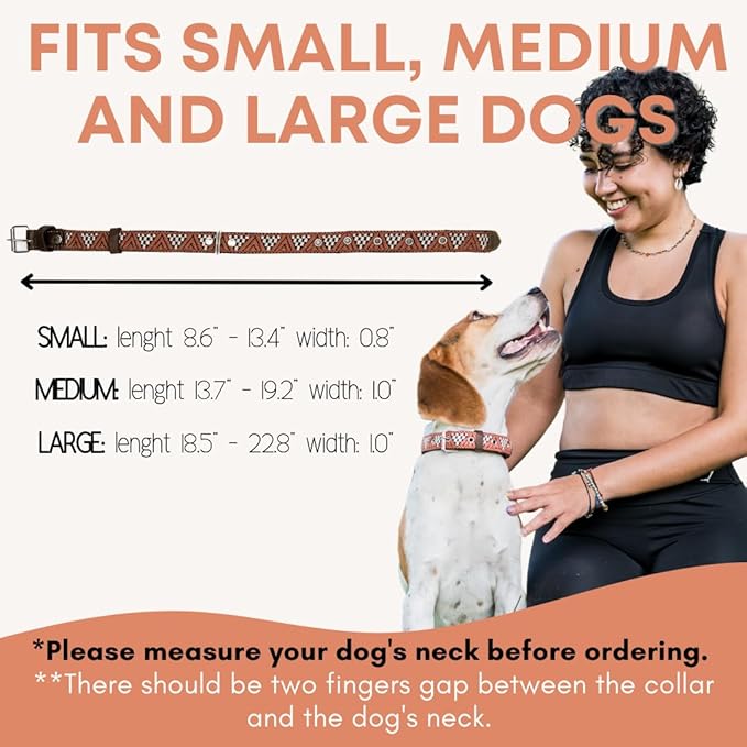 Western Dog Collar - Leather Embroidered Design for Small Medium Large Dogs & Puppy Pets - Aztec Southwest for Boy Girl Female & Male Dogs - Collar para Perros Beaded (Large, Brown Rust)