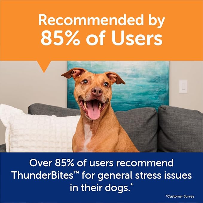 ThunderWunders Hemp Dog Calming Chews | Vet Recommended for Situational Anxiety | Fireworks, Thunderstorms, Travel & More | Made with Hemp Seed, Thiamine, L-Tryptophan, Melatonin & Ginger (180 Count)