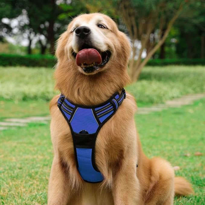 rabbitgoo Dog Harness No Pull with 2 Leash Clips, Adjustable Soft Padded, Reflective Oxford No Choke Pet Vest with Easy Control Handle for Large Dogs, Dazzling Blue, L