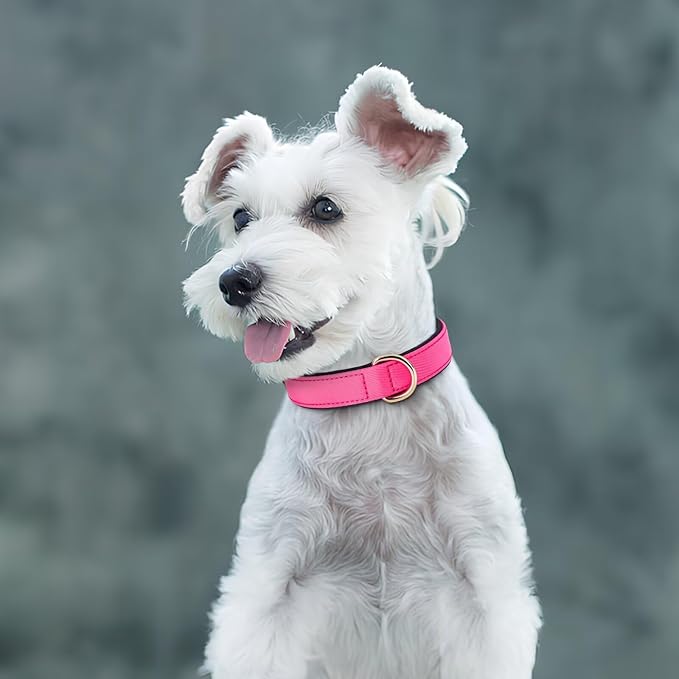 Didog Soft Padded Dog Collars for Medium Dogs, Lightweight and Breathable Pink Dog Collar Waterproof with Metal Buckle, Pink, L