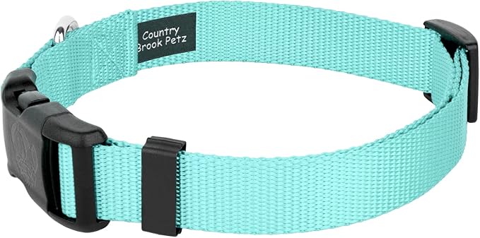 Country Brook Petz - American-Made Dog Collar for Large, Medium, and Small Dogs and Puppies - Deluxe Heavy Duty Nylon in 33 Dazzling Colors (Medium, 3/4 Inch Wide, Light Cyan)