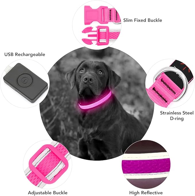 YFbrite Light up Dog Collar, USB Rechargeable LED Puppy Collar Super Bright Adjustable Glowing Dog Lights for Night Walking (Pink, Large)