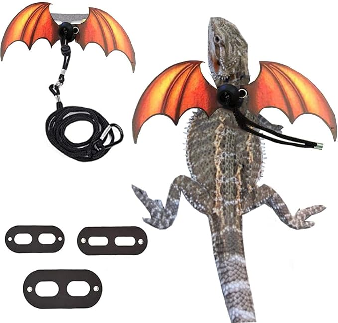 Bearded Dragon Lizard Leash Harness - Adjustable Dinosaur Wing Lizard Cool Leather Wings Safety Walking Leash (S,M,L,3pack)