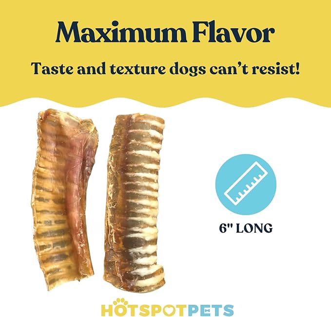 hotspot pets Premium Beef Trachea for Dogs 6" Strips Split -(20 Pack) All Natural Grass-Fed Beef Dog Chews, Rich in Glucosamine Chondroitin for Joint Health, Single Ingredient No Rawhide Dog Treats