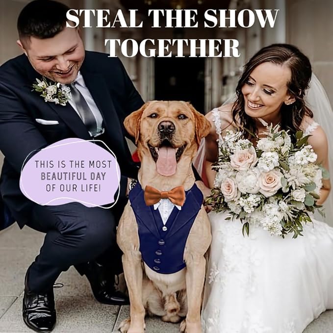 Dog Tuxedo for Wedding Outfit, Dog Suit and Tie Costumes for Birthday, Halloween, Cosplay, Christmas Party, Pet Formal Wear with Bowtie, Tux for Medium Large Dogs, Bulldog, Labrador, Husky