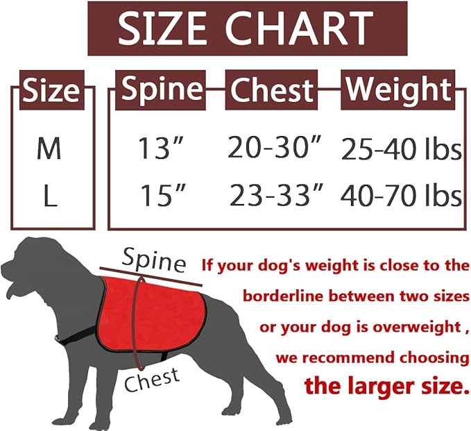 JXGZSO Nervous Anxious Dog Slogan Warning Vest Do Not Pet No Hand Sniffs Dog Jacket Vest (No Hand Sniffs M)