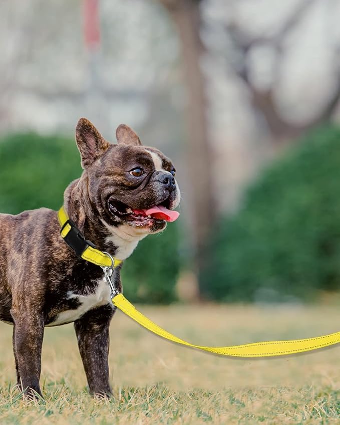 Joytale Double-Sided Reflective Dog Leash, 6 FT/5 FT/4 FT, Padded Handle Nylon Heavy Duty Leashes for Small & Medium Dogs Walking, Yellow, 5FT