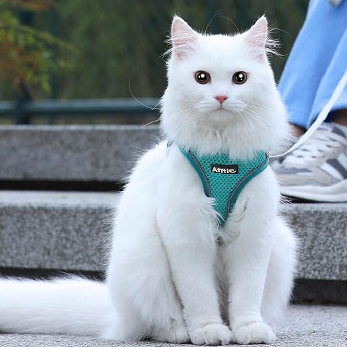 AIITLE Dog Harness, Spring No-Pull Cat Harness with a Leash, Adjustable Reflective Dog Vest, Cat Harness Escape Proof, Outdoor Walking, Camping for Extra Small Dogs and House Cats Pure Turquoise XXXS