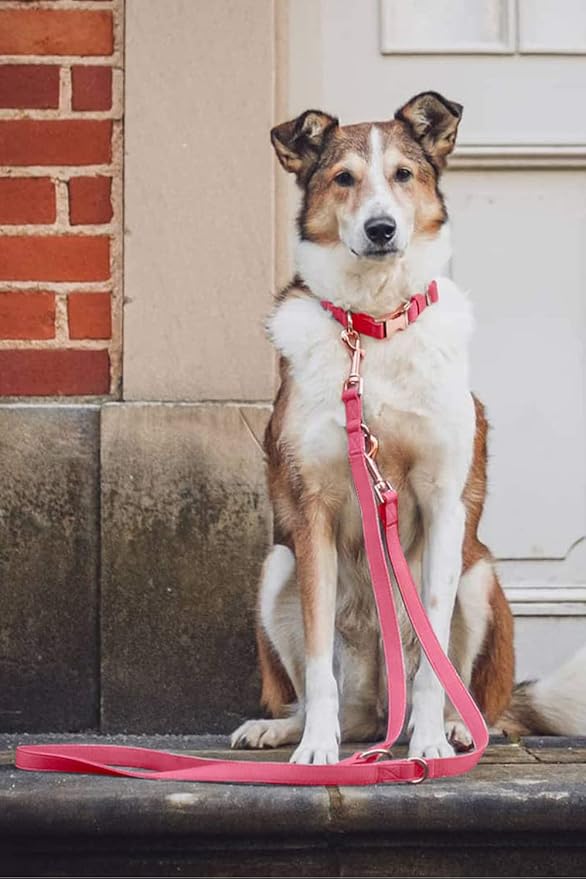 Soft Leather Dog Collar and Leash (6.6') Set - Stylish Rose Gold Heavy Duty Metal Buckle, 4 Adjustable Lengths Leash for Small Medium Large Dogs - Comfortable & Easy to Clean Dark Pink M(13.8"-19.7")