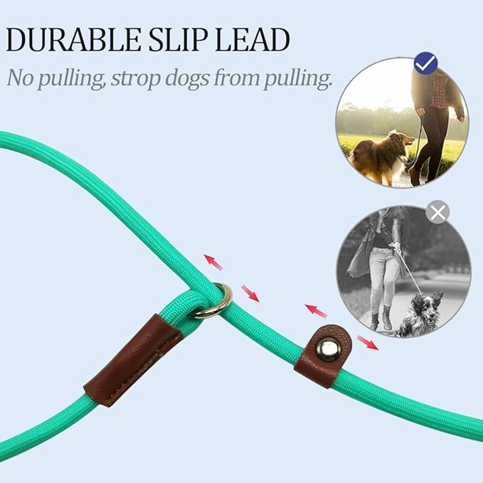 MayPaw Slip Lead Control Leash for Dogs No Pull, 13+ Colors Classic Dog Lead 7 FT Pet Slip Leash, 1/4” Rope Leashes for Small Medium Animals (7ft*1/4", Turquoise)