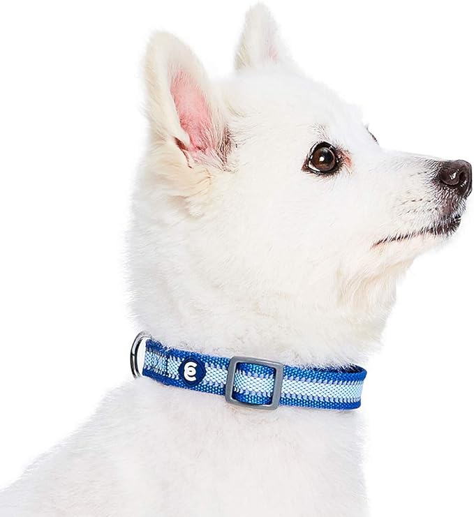 Blueberry Pet Essentials Small Dog Collar | Adjustable Reflective Nylon Dog Collars for Small Dogs | Navy Blue Puppy Collar for Night Walking | Safety Dog Training Collar