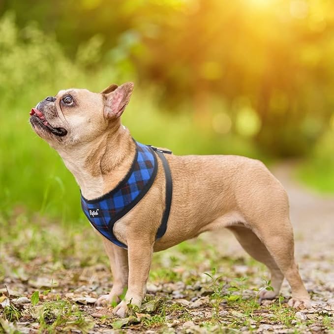 PUPTECK Soft Mesh Dog Harness and Leash Set Pet Puppy Cat Comfort Padded Vest No Pull Harnesses, Navy Blue, M