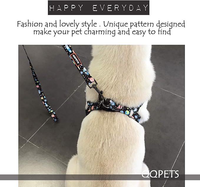 QQPETS Dog Harness Leash Set Adjustable Heavy Duty No Pull Halter Harnesses for Small Medium Large Breed Dogs Back Clip Anti-Twist Perfect for Walking (M(19"-26" Chest Girth), Space)