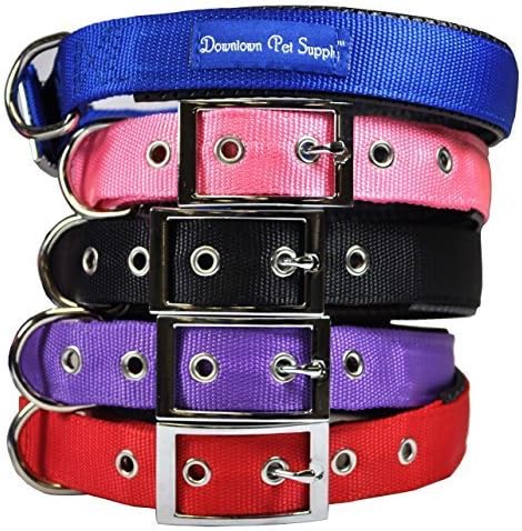 Downtown Pet Supply Deluxe Dog Collar - Padded Adjustable Dog Collar with Metal Buckle & D-Ring - Machine Washable & Water Resistant Thick Dog Collar - Black - L - Large Dog Collar