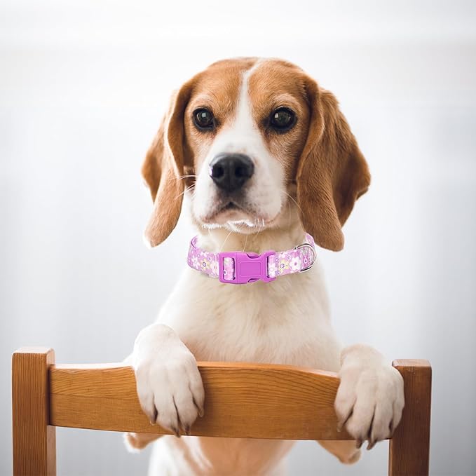 Girl Dog Collar with Purple Floral Patterns, Adjustable Cute Soft Pet Collar with Quick Release Buckle for Small Medium Large XL Dogs (Purple Flower M)