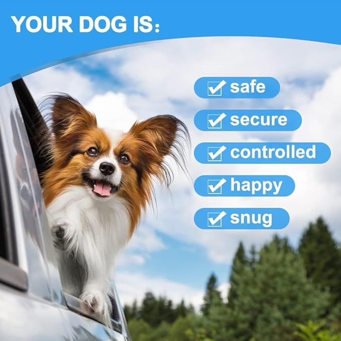 Dog Seat Belt Harness for Car,Dog Seatbelt of Coated Wire Leash Safety Restraint,No Chew Tether Cable Vehicle,Double Clips & Latch(Purple, 32 inch/80 CM)