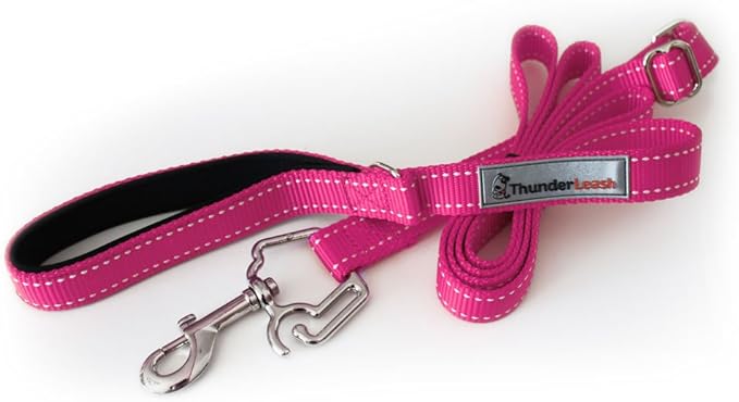No-Pull Dog Leash (Small (12 to 25 lbs), Pink)