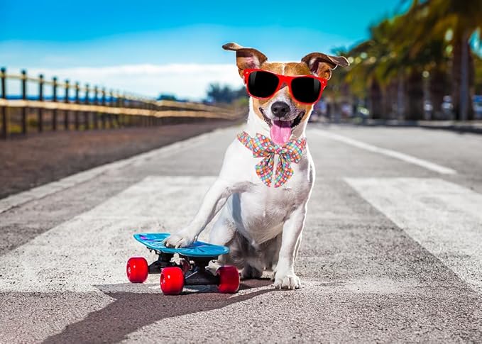 Lionet Paws Design Dogs Collar Cute Summer Sailor Bow Dog Collars for Girl Female Small Medium Dogs with Colorful Sailboat S